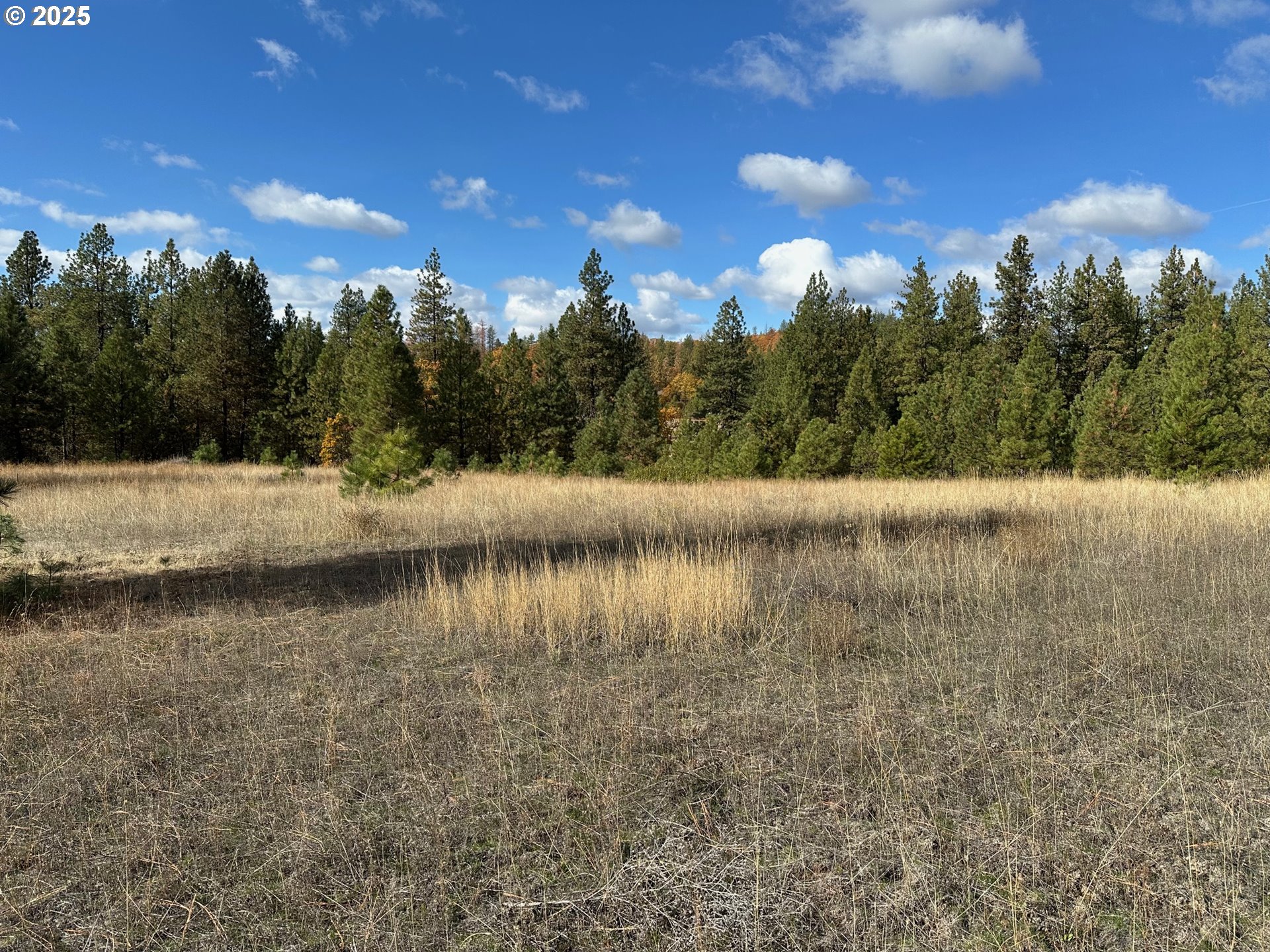 1 Garrison Road Goldendale, WA 98620 - Photo 8 of 8