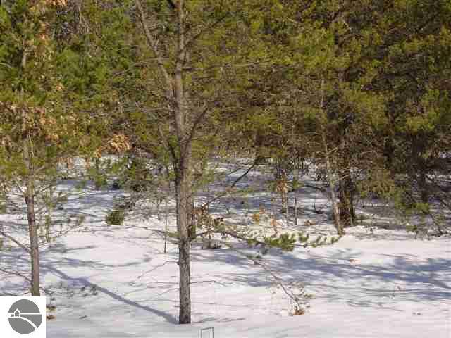 Vl South Tippy Dam Road Wellston, MI 49689 - Photo 7 of 9 1723896-6.JPG