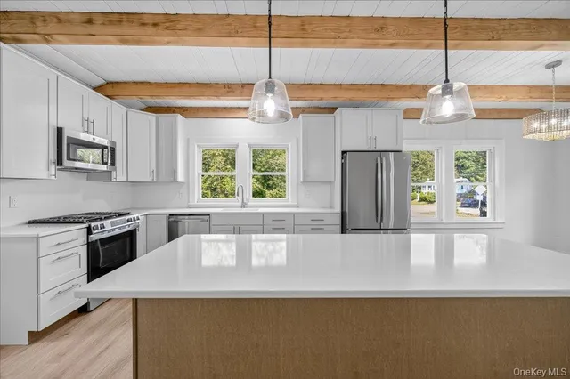 a bathroom with a toilet and a bathtub