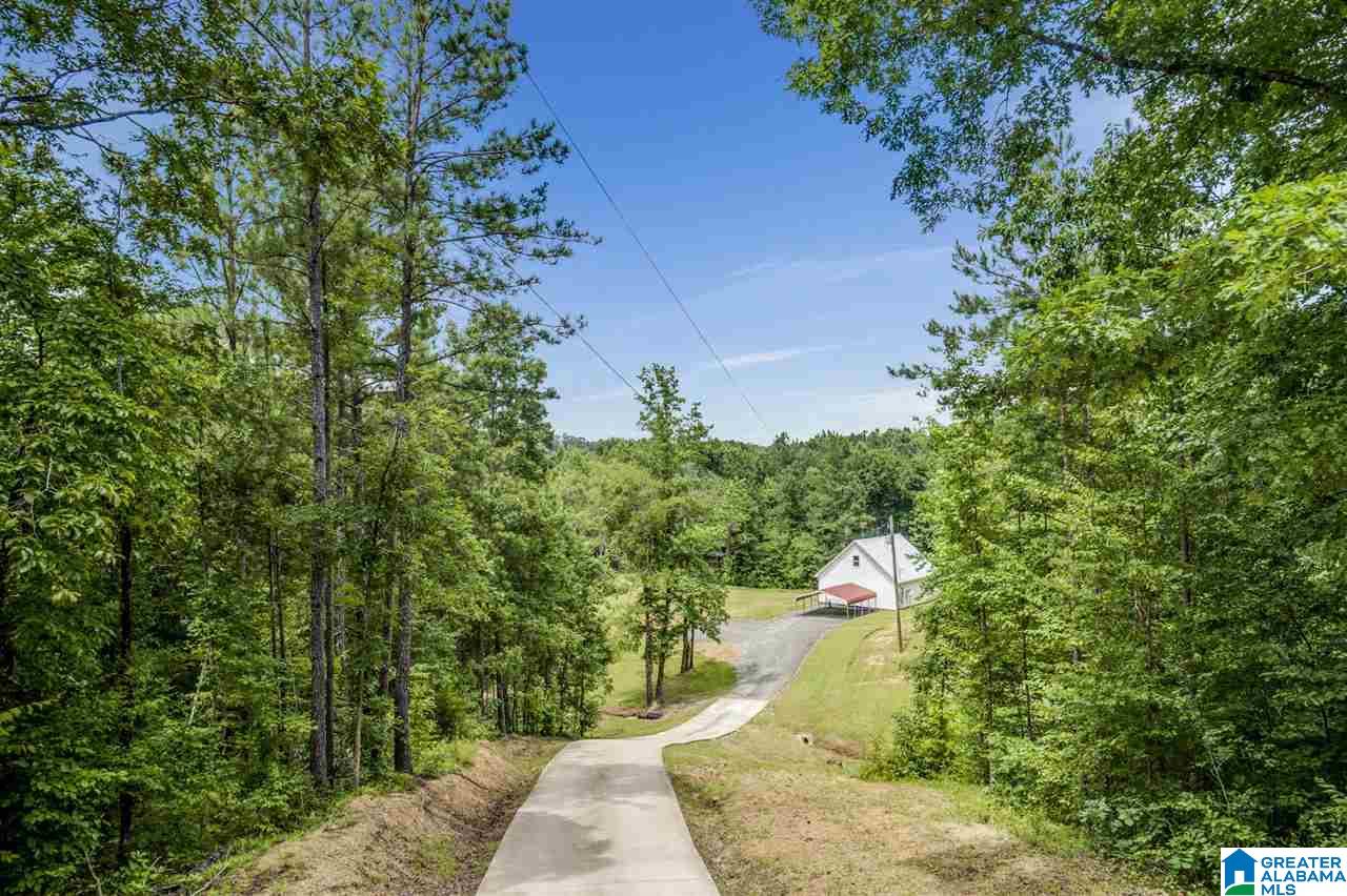3851 Humber Road Dora, AL 35062 - Photo 1 of 35