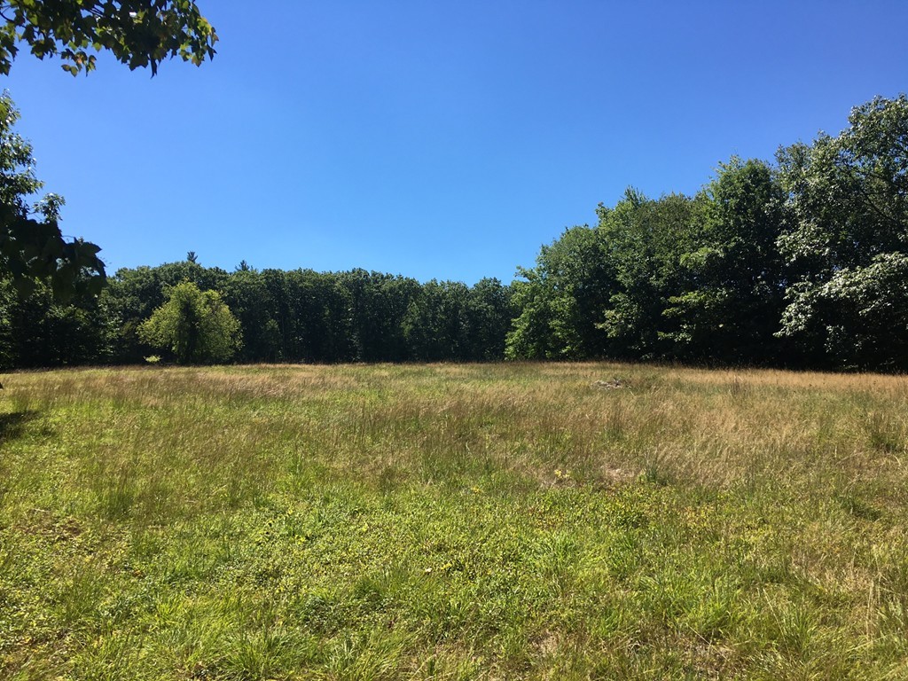 85 Blake Corner Road Phillipston, MA 01331 - Photo 2 of 3