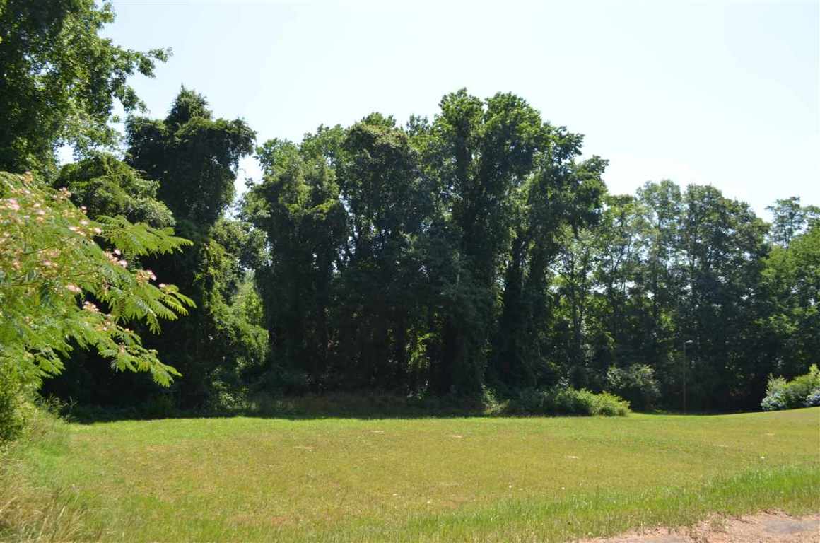 0 McKay Road Honea Path, SC 29654 - Photo 3 of 7