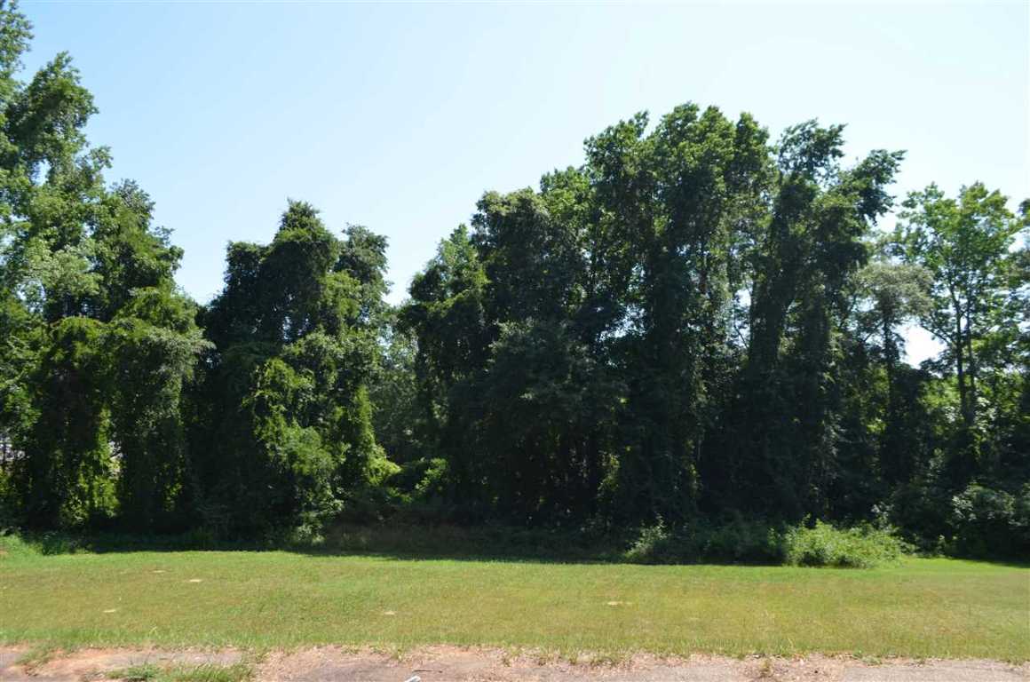 0 McKay Road Honea Path, SC 29654 - Photo 4 of 7