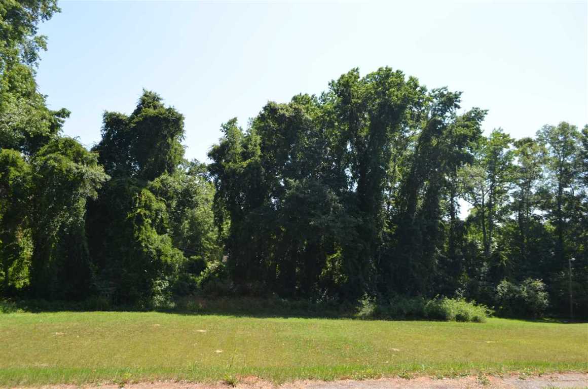 0 McKay Road Honea Path, SC 29654 - Photo 5 of 7