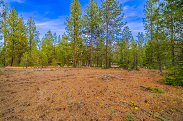 $35,000 | 0 Sugar Loaf Lane, Old Station, CA 96071