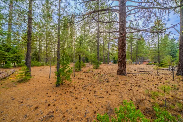 $35,000 | 0 Sugar Loaf Lane, Old Station, CA 96071