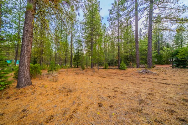 $35,000 | 0 Sugar Loaf Lane, Old Station, CA 96071