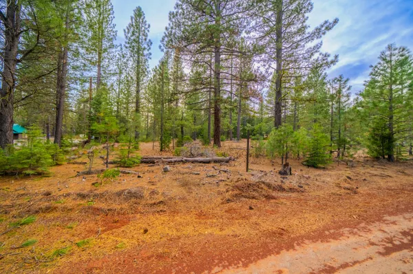 $35,000 | 0 Sugar Loaf Lane, Old Station, CA 96071