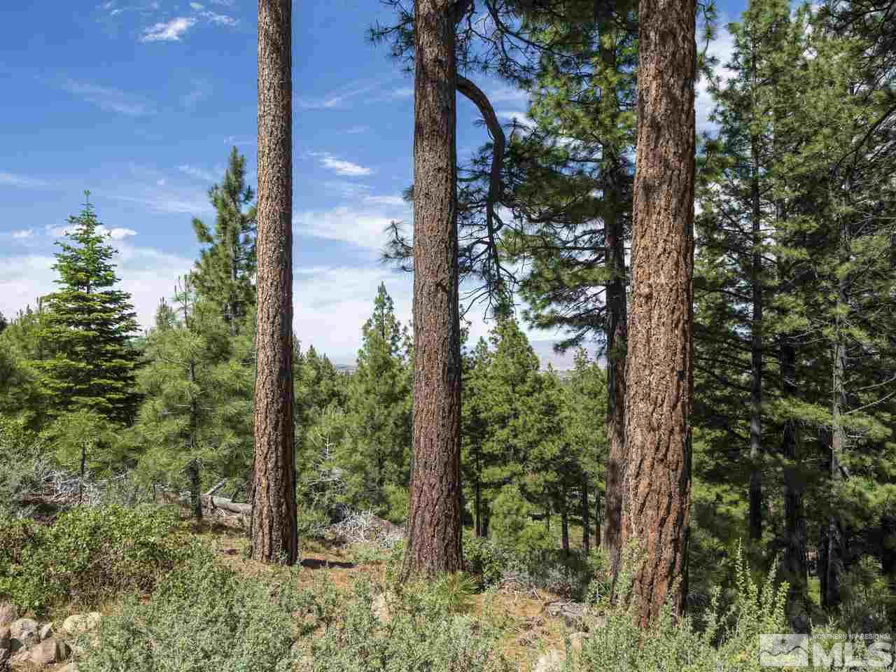 0 Abies Road, Unit PARCEL 3 Reno, NV 89511 - Photo 1 of 37 Photo 1
