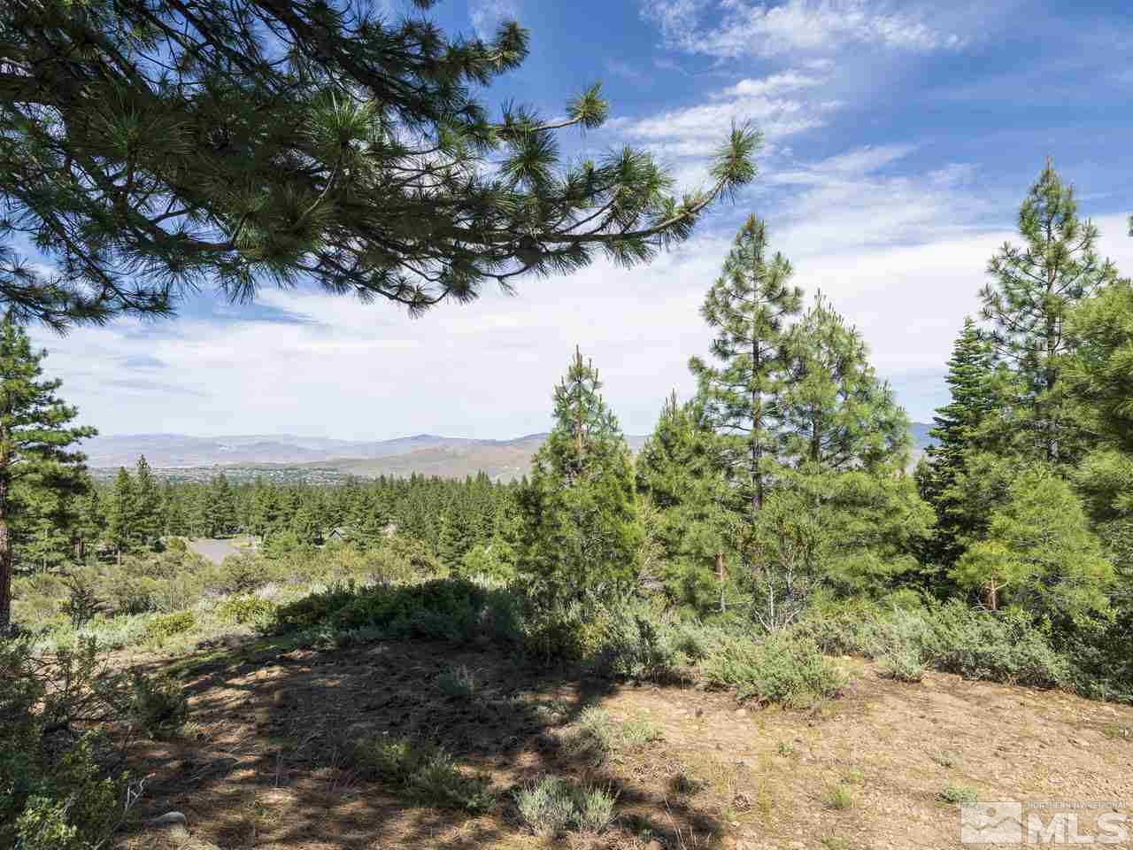 0 Abies Road, Unit PARCEL 3 Reno, NV 89511 - Photo 8 of 37 Photo 8