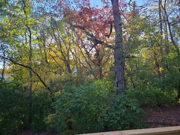a view of a tree in front of a house