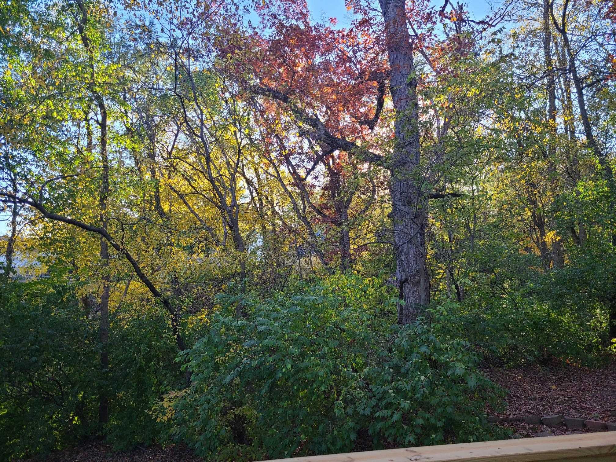 2871 East 777th Road Utica, IL 61373 - Photo 21 of 23