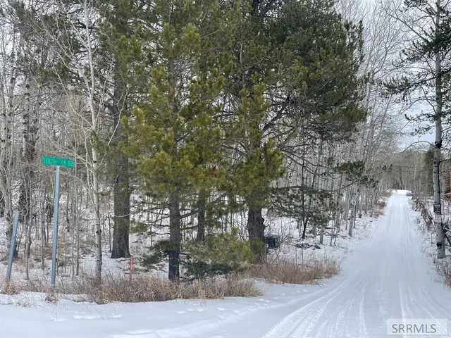 $125,000 | 4523 Elk Loop Road, Ashton, ID 83420