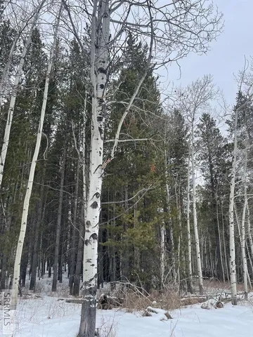 $125,000 | 4523 Elk Loop Road, Ashton, ID 83420