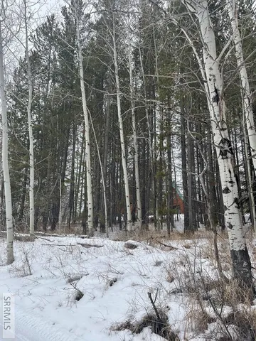 $125,000 | 4523 Elk Loop Road, Ashton, ID 83420