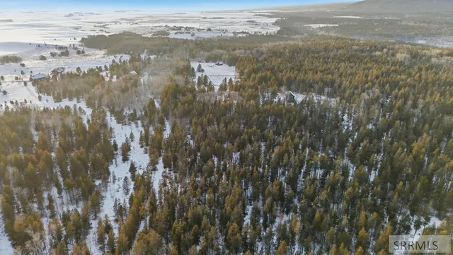 $125,000 | 4523 Elk Loop Road, Ashton, ID 83420