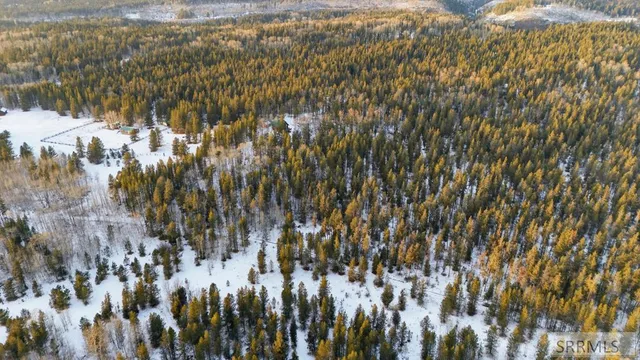 $125,000 | 4523 Elk Loop Road, Ashton, ID 83420