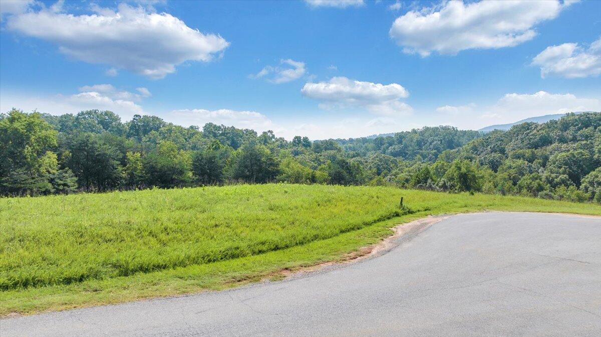 3878 Ballyhack Trail Roanoke, VA 24014 - Photo 1 of 53 a view of a big yard with potted plants