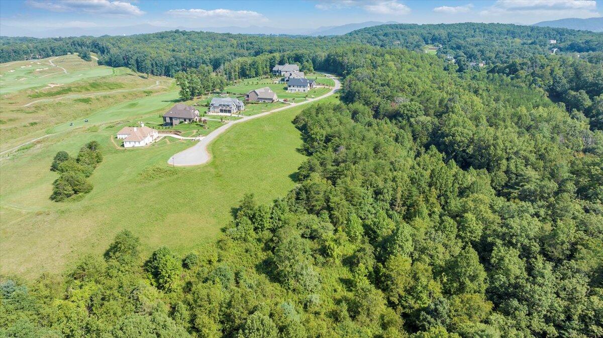 3878 Ballyhack Trail Roanoke, VA 24014 - Photo 16 of 53 a view of a big yard with plants and large trees