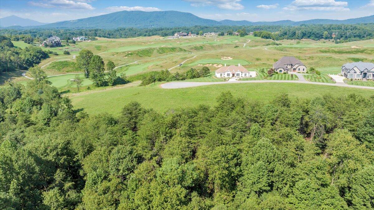 3878 Ballyhack Trail Roanoke, VA 24014 - Photo 22 of 53 a view of a field with an ocean view