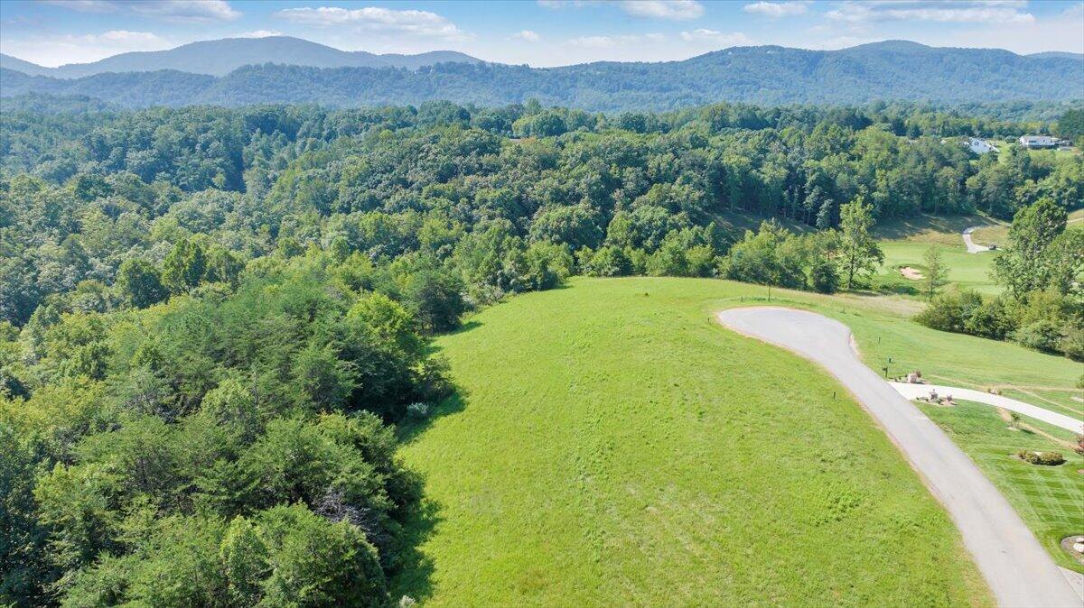 3878 Ballyhack Trail Roanoke, VA 24014 - Photo 24 of 53 a view of a lush green hillside and a mountain view