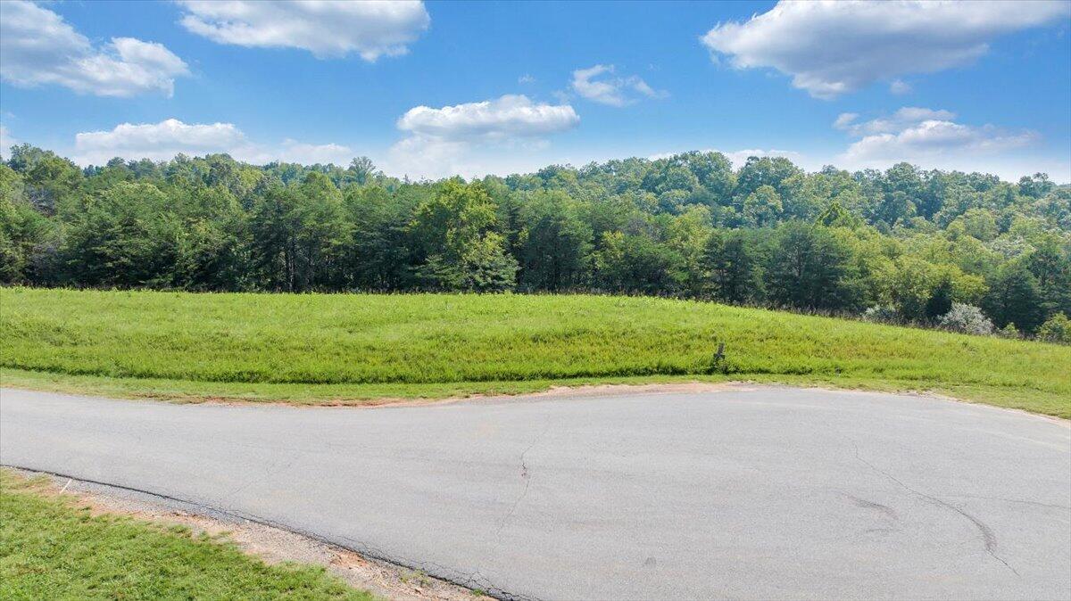 3878 Ballyhack Trail Roanoke, VA 24014 - Photo 25 of 53 a view of a golf course with a lake