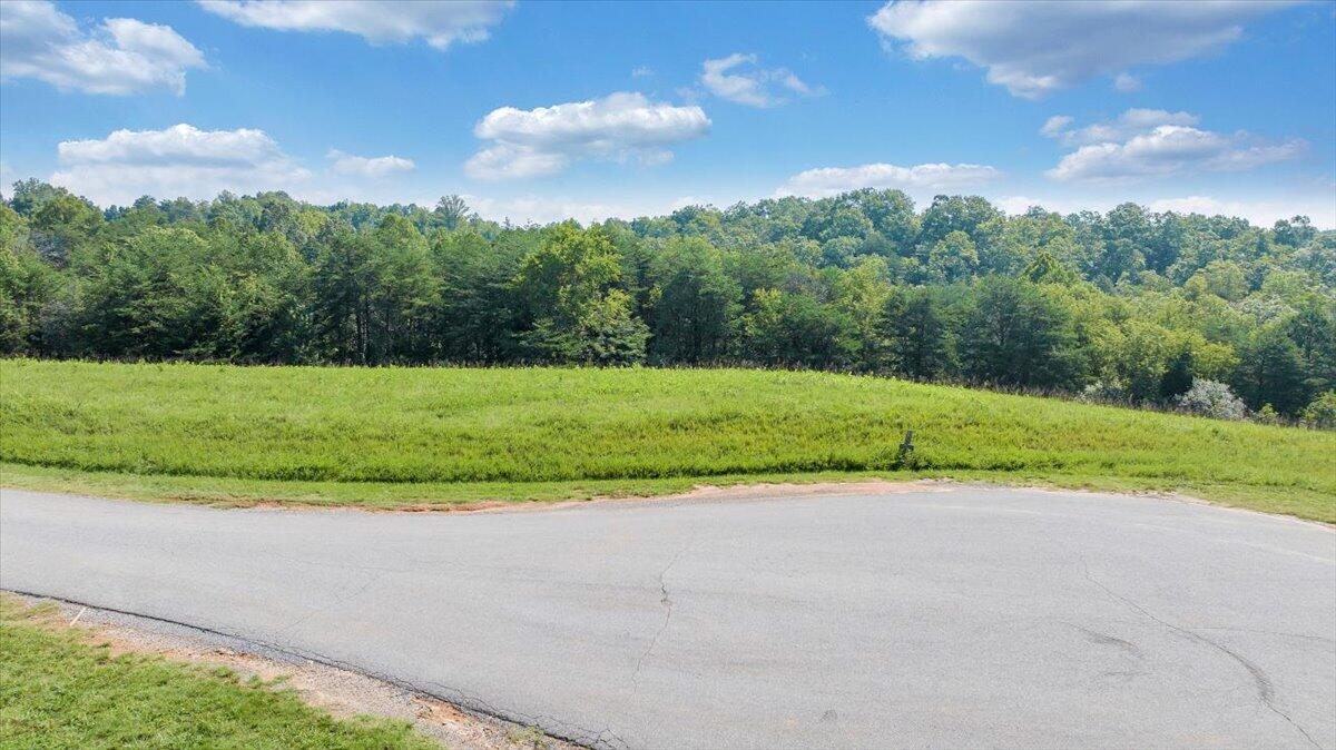 3878 Ballyhack Trail Roanoke, VA 24014 - Photo 26 of 53 a view of a yard with a plants and trees