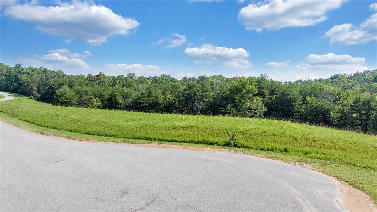 3878 Ballyhack Trail Roanoke, VA 24014 - Photo 27 of 53 a view of a garden with a big yard