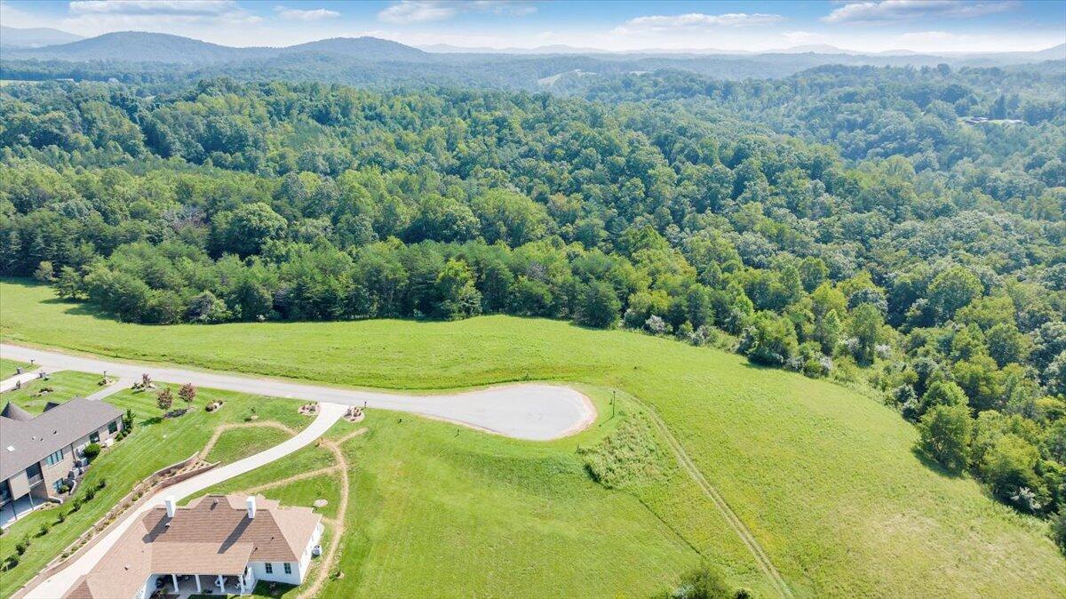 3878 Ballyhack Trail Roanoke, VA 24014 - Photo 28 of 53 a view of a big yard with potted plants