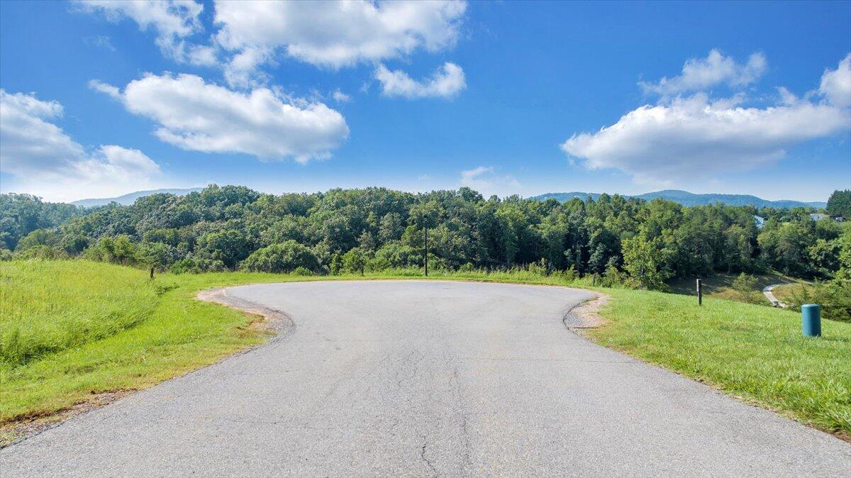 3878 Ballyhack Trail Roanoke, VA 24014 - Photo 29 of 53 a view of a golf course with a lake