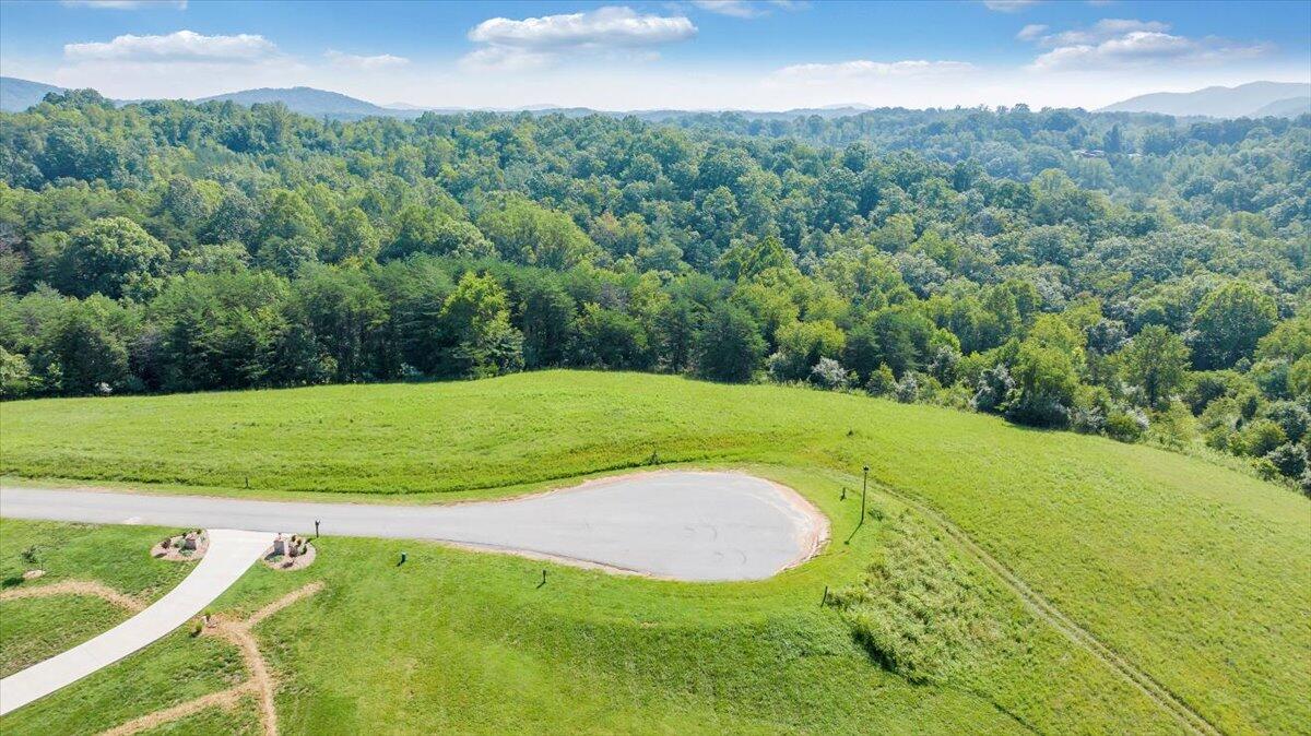3878 Ballyhack Trail Roanoke, VA 24014 - Photo 4 of 53 a view of a golf course with a garden