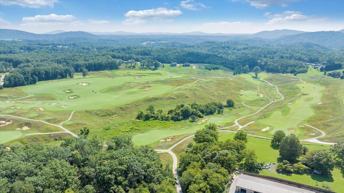 3878 Ballyhack Trail Roanoke, VA 24014 - Photo 50 of 53 a view of a big yard with large trees