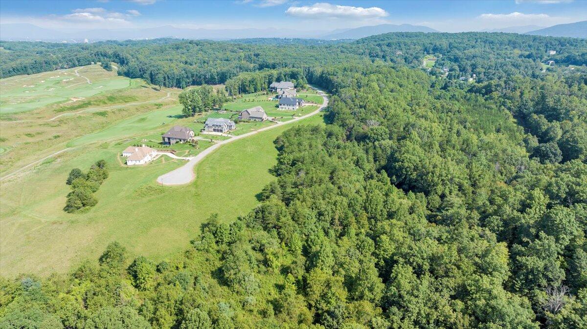 3878 Ballyhack Trail Roanoke, VA 24014 - Photo 8 of 53 a view of a big yard with plants and large trees