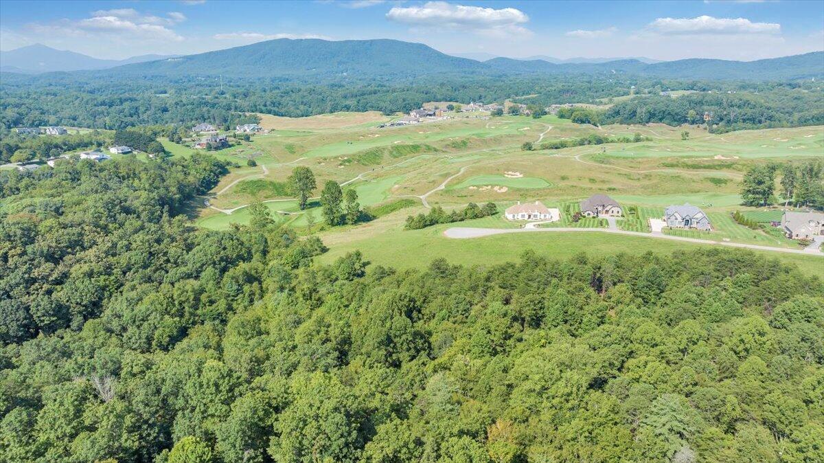 3878 Ballyhack Trail Roanoke, VA 24014 - Photo 10 of 53 a view of an ocean and a mountain