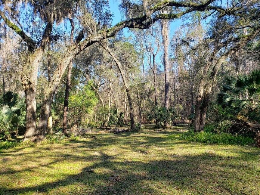 2929 Southwest 2 Court Gainesville, FL 32601 - Photo 5 of 8