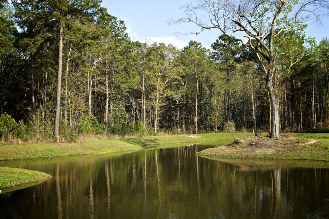 1555 Roustabout Way Charleston, SC 29414 - Photo 47 of 47 Boltons Landing Pond
