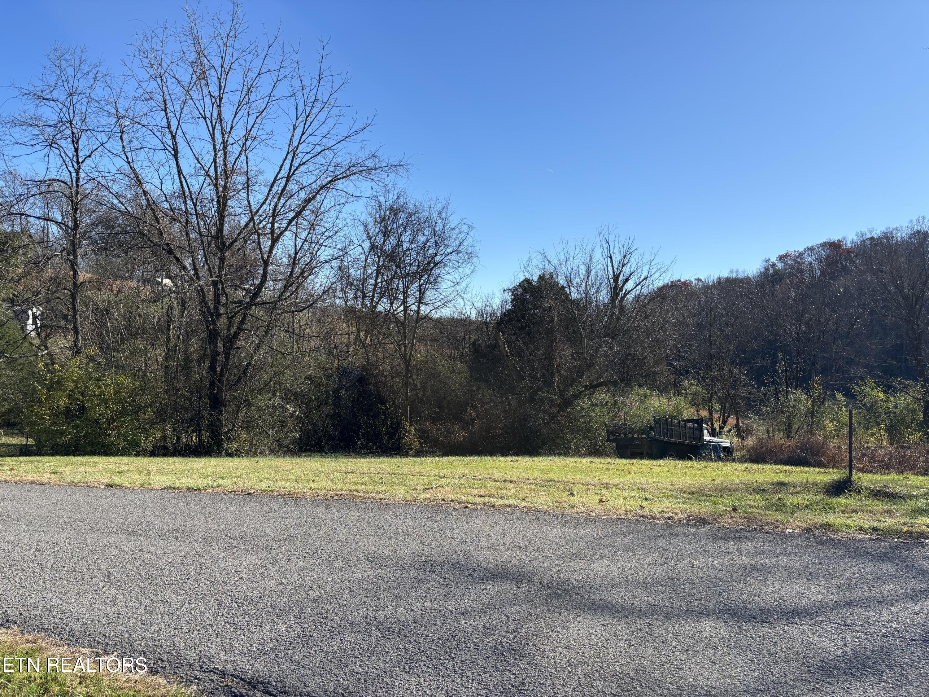 10115 Elkins Road Heiskell, TN 37754 - Photo 3 of 4 10115 1