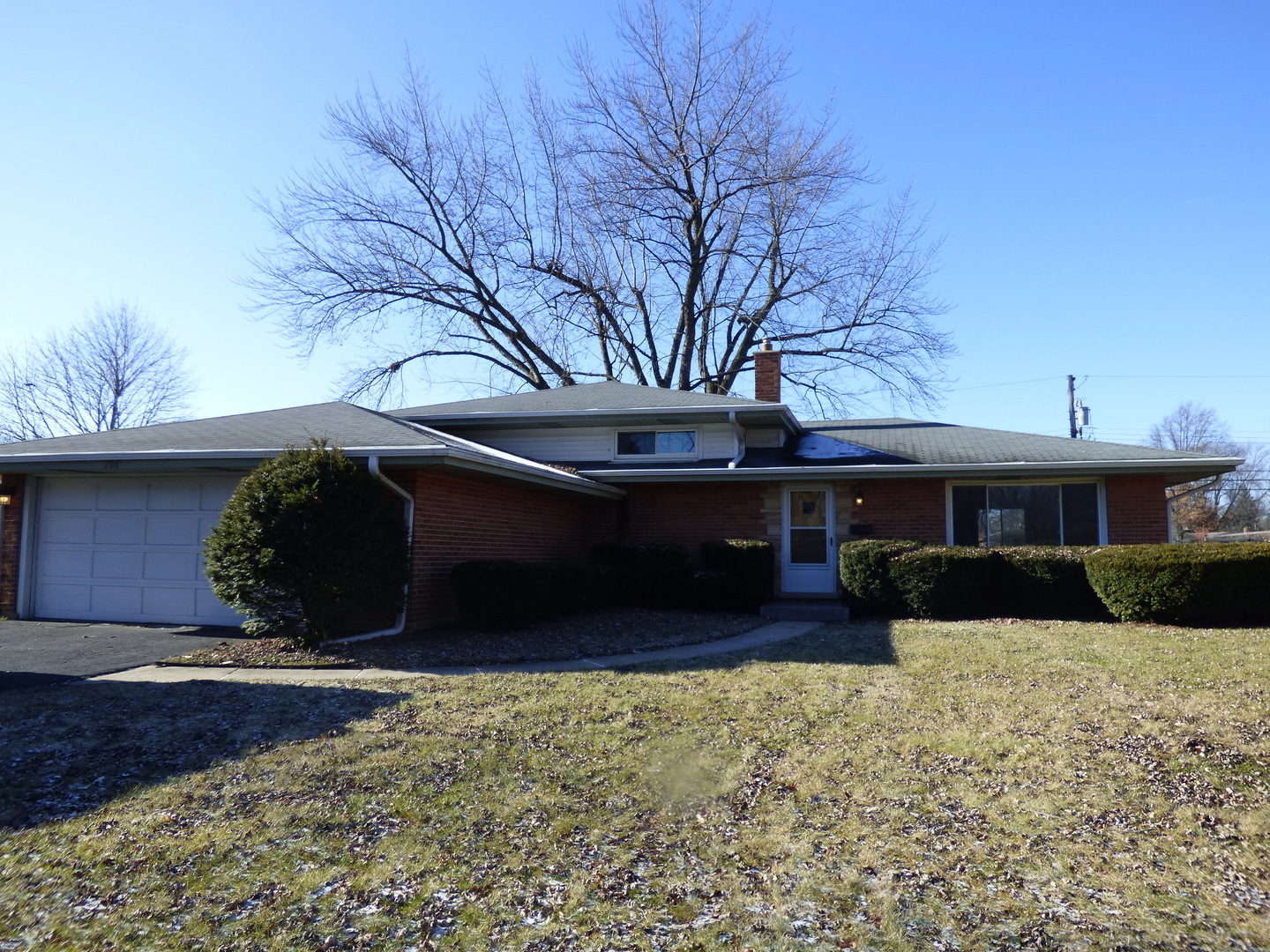 206 North Deneen Lane Mount Prospect, IL 60056 - Photo 1 of 15