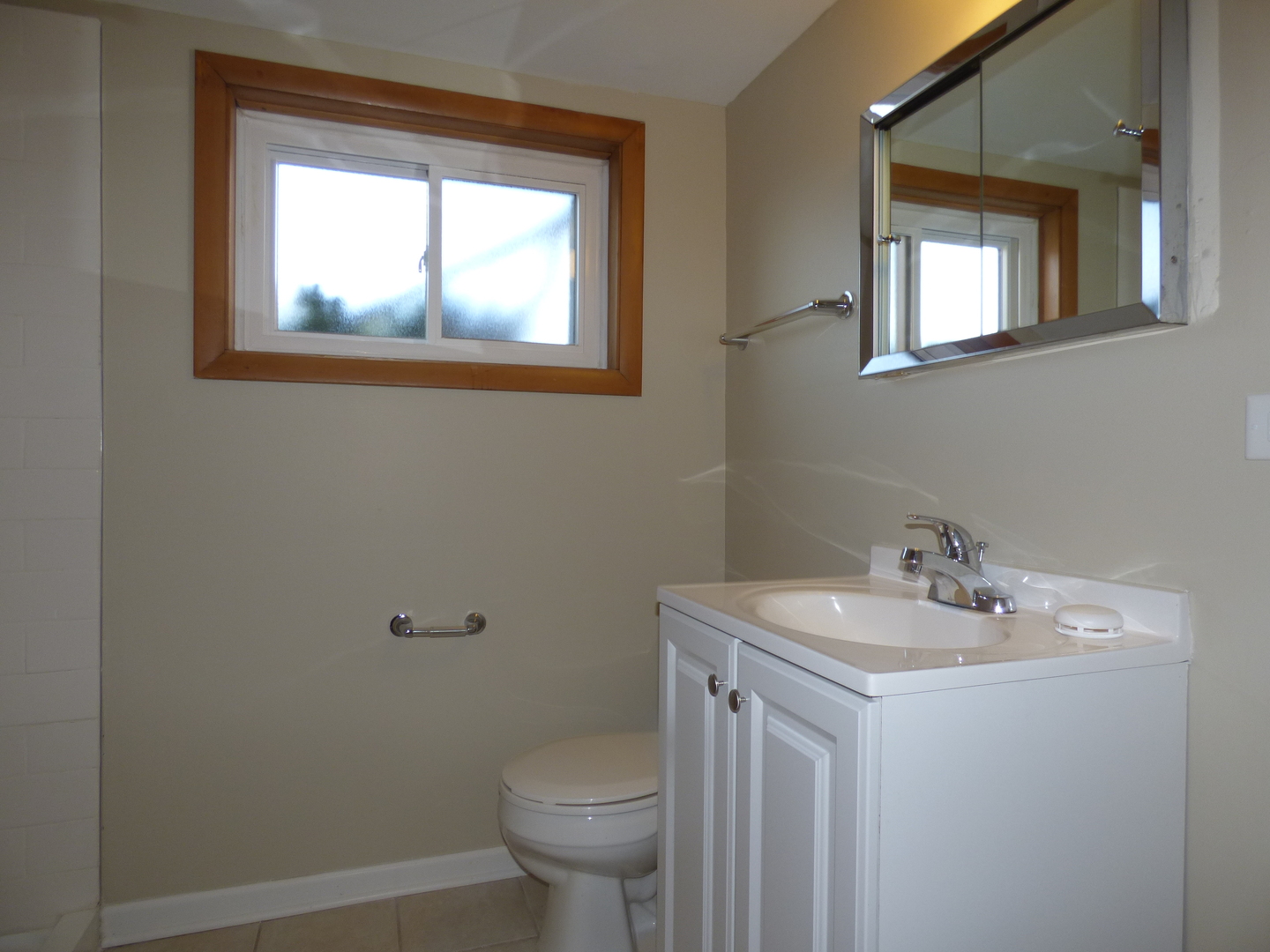 206 North Deneen Lane Mount Prospect, IL 60056 - Photo 11 of 15