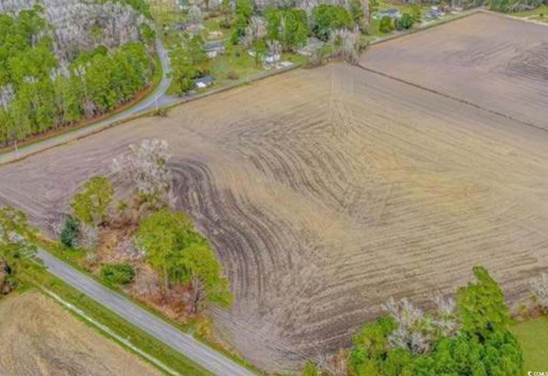 900 Bucksport Road Conway, SC 29527 - Photo 3 of 4