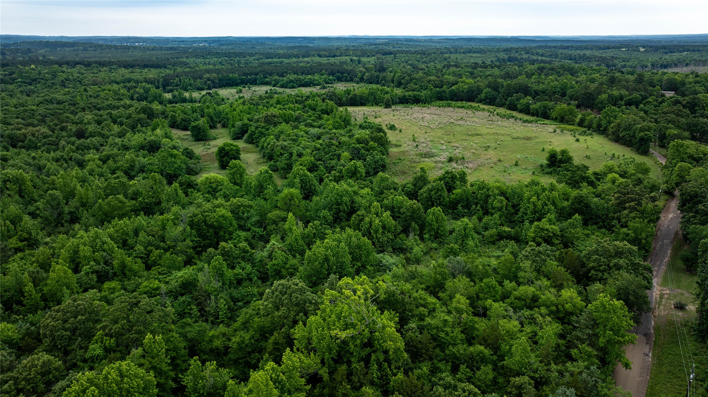 Lot 1 County Road Avinger, TX 75630 - Photo 12 of 20 Gallery Image 12
