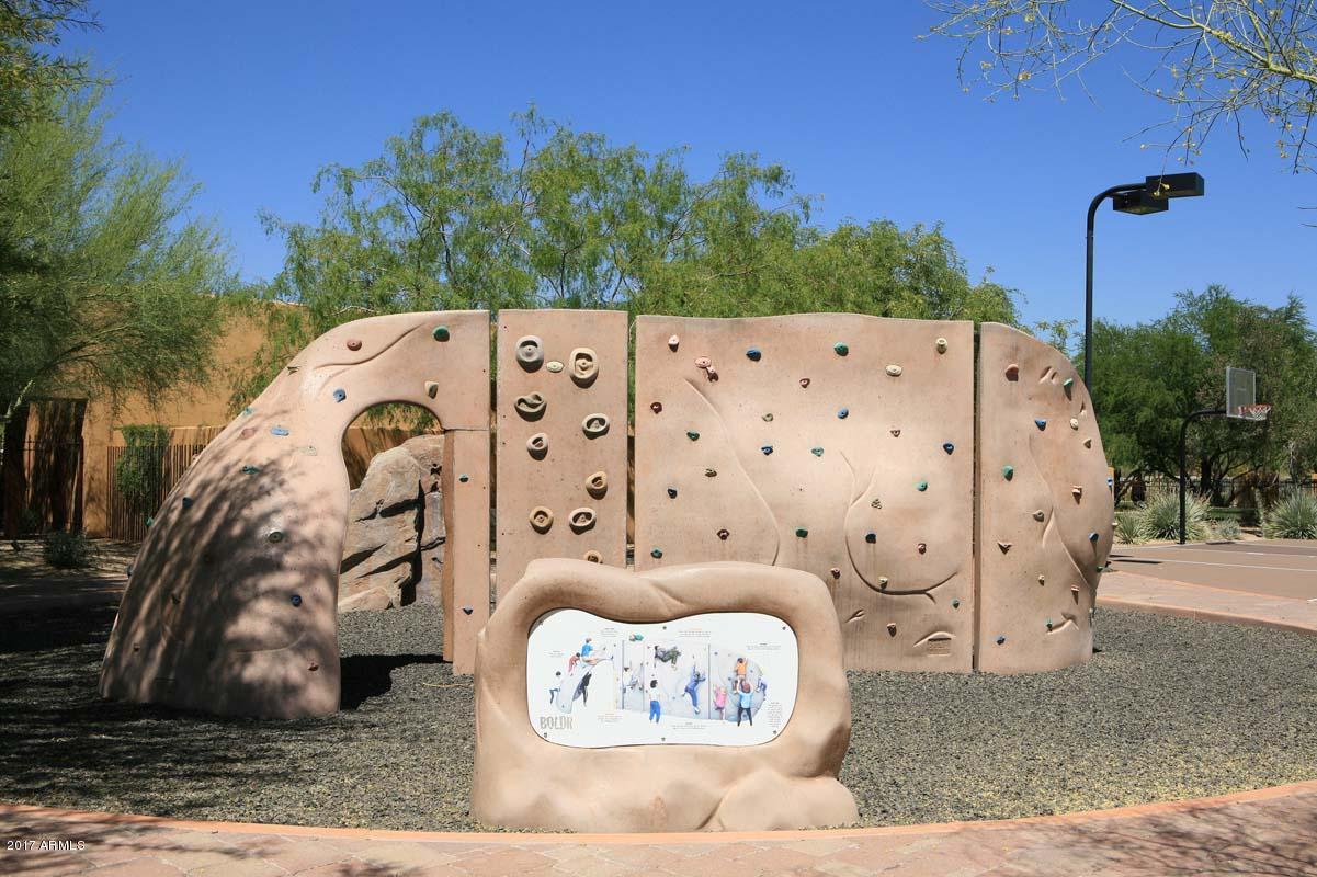 3935 East Rough Rider Road, Unit 1271 Phoenix, AZ 85050 - Photo 29 of 43 Aviano-Climbing Wall