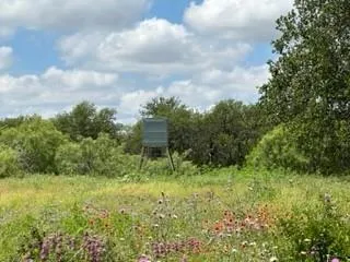 a view of a garden