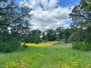 a view of outdoor space yard and green space