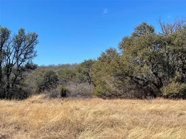 a view of a covered with large trees