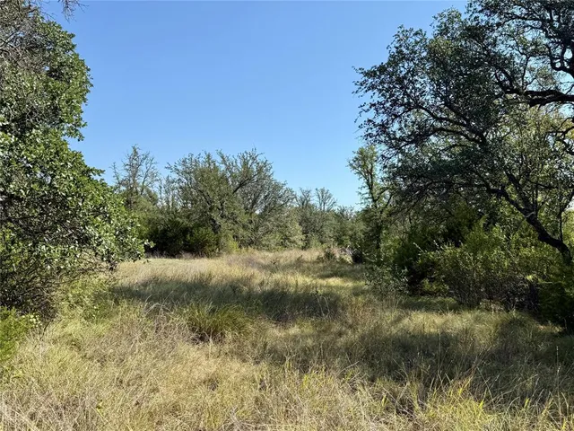 a view of a yard with a tree