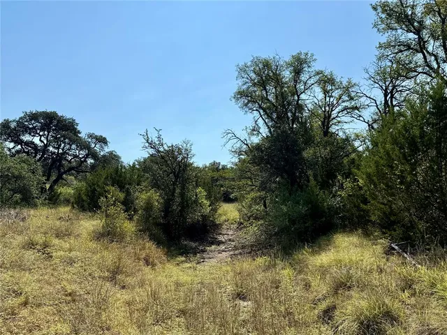 a view of lake with a tree