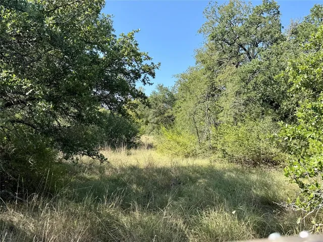 a view of a yard with a tree
