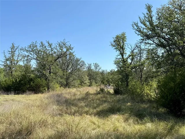 a view of a field with an ocean