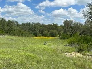 a view of outdoor space with green field
